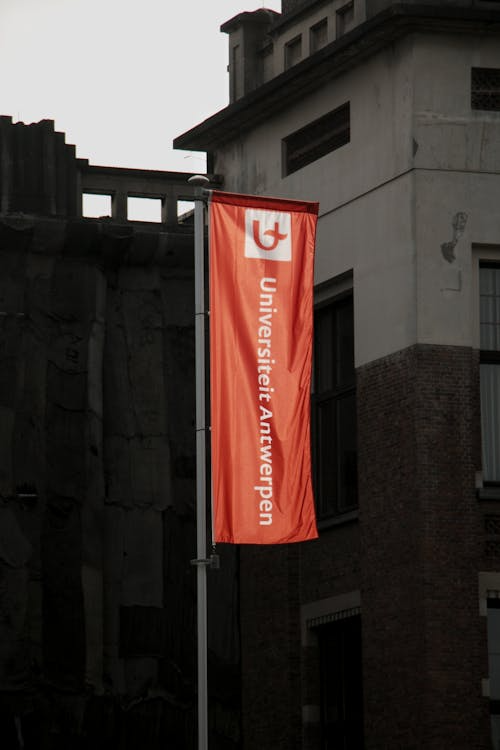 Schulwege und Eingänge sichtbar machen: Praxis für Gemeinden